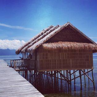 Tabari Dive