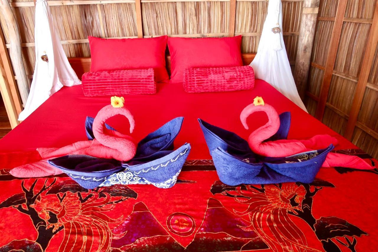 Lodge Tabari Dive *