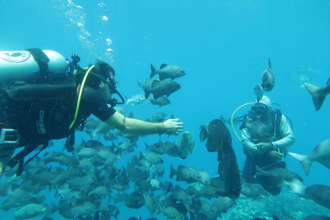Tabari Dive * Pulau Mansuar