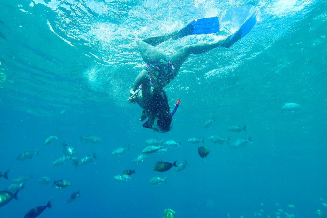 Lodge Tabari Dive