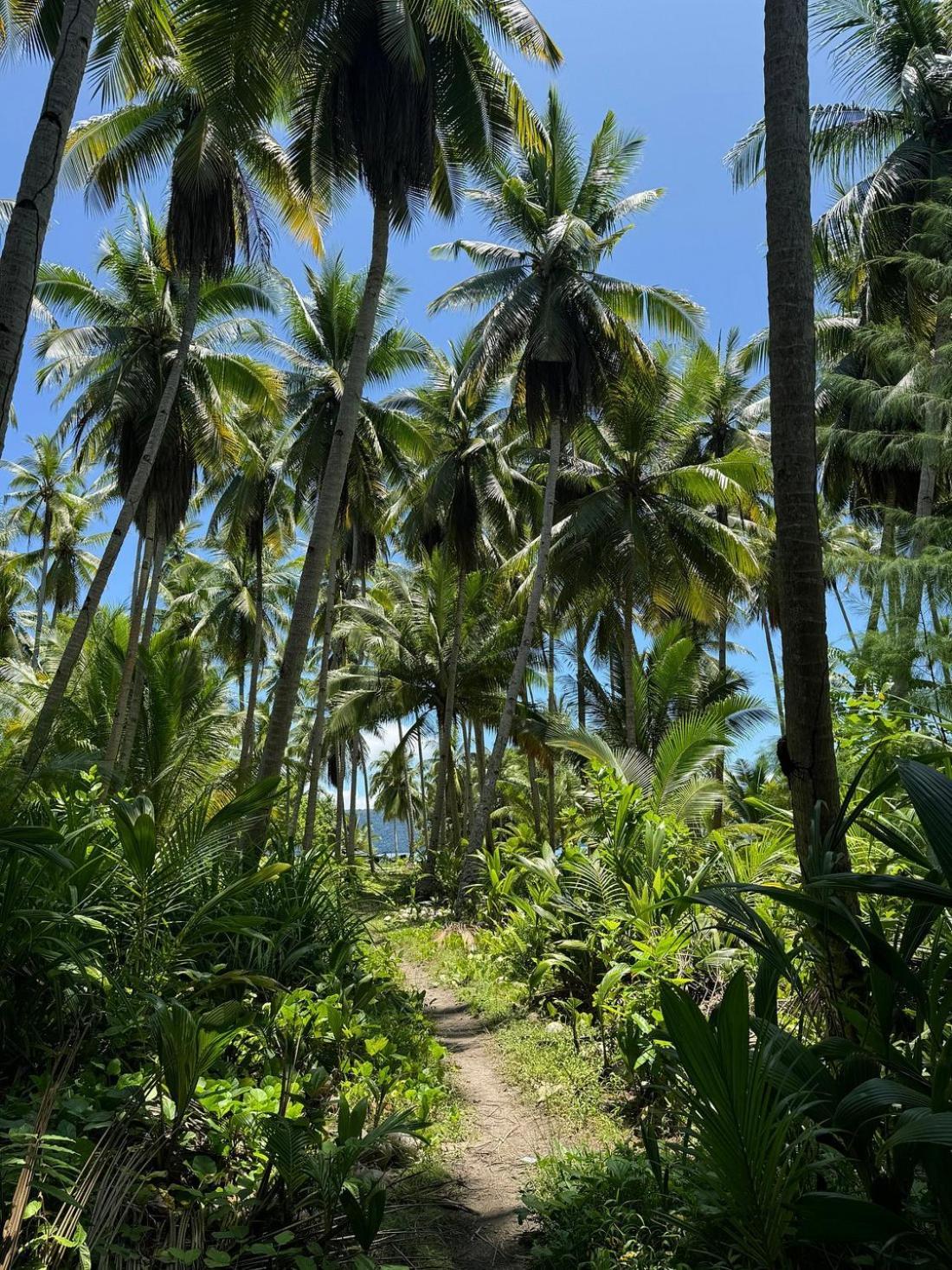 Tabari Dive Lodge