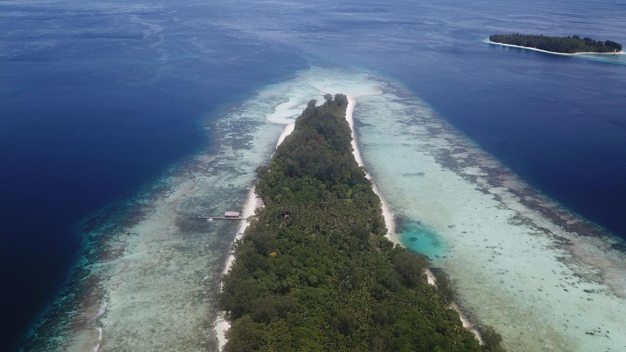 Lodge Tabari Dive Pulau Mansuar